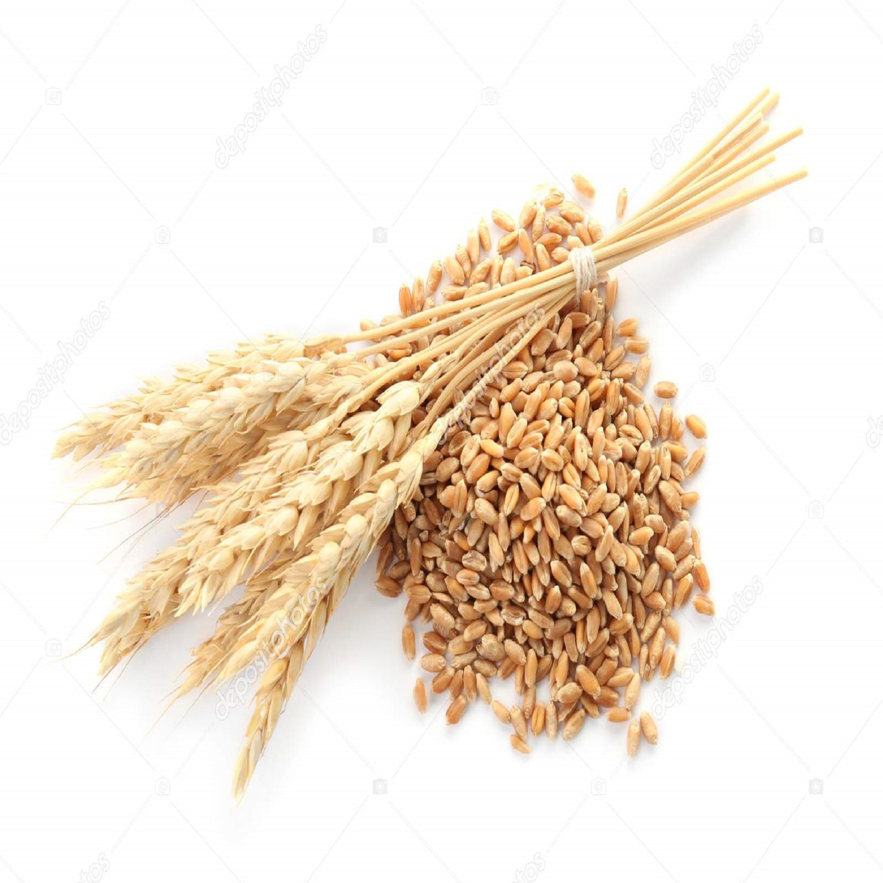 Grains